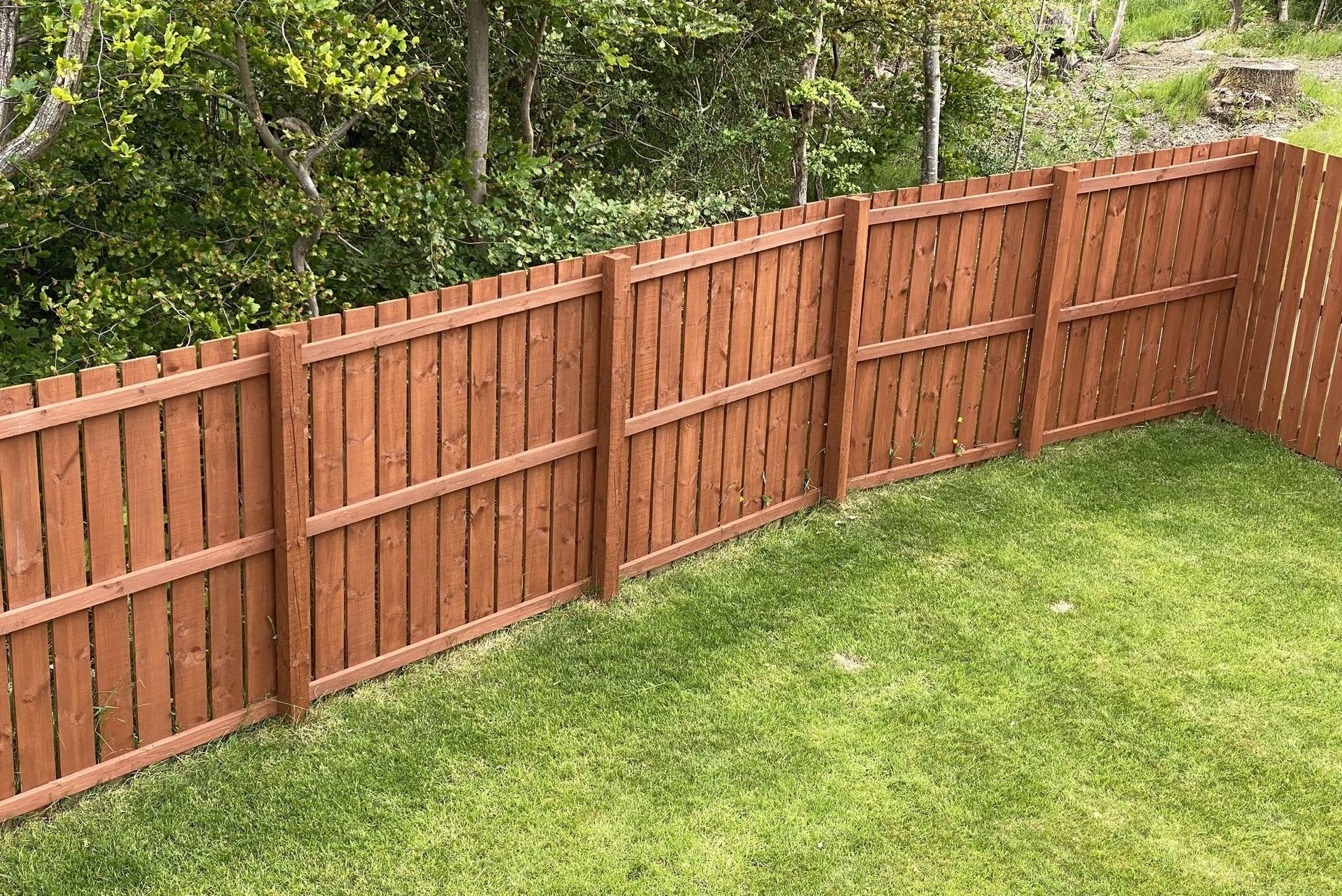 a wooden fence surrounds a lush green lawn in a backyard .