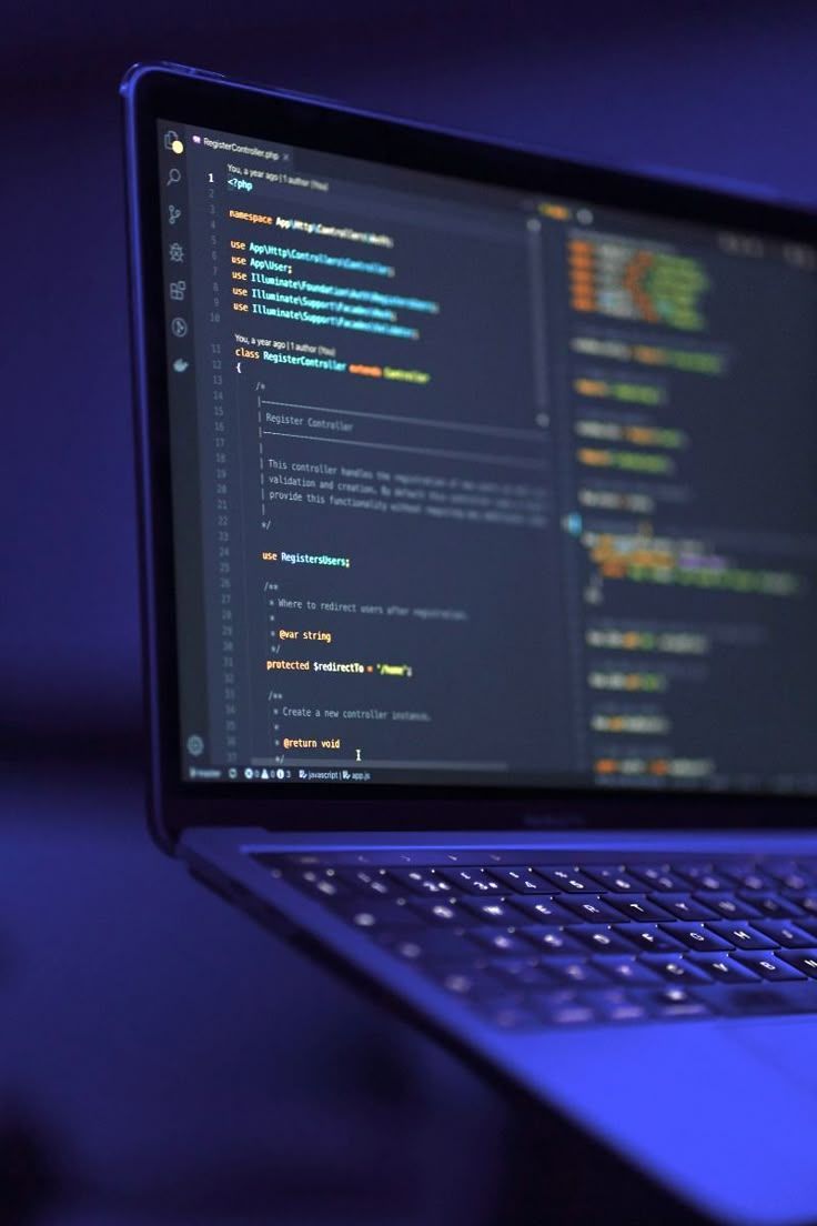 Web design expert