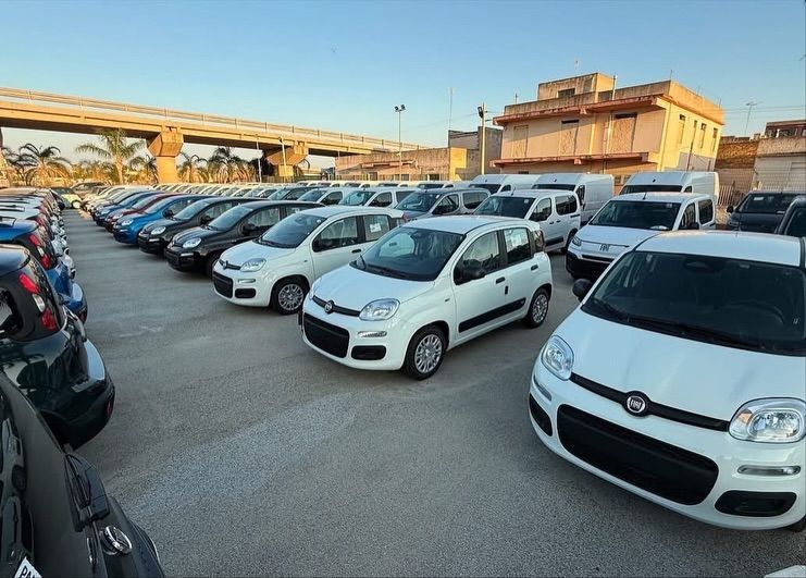 Auto parcheggiate in un parcheggio, tra cui Fiat Panda bianche. Sotto un cavalcavia, di giorno.