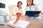 A medical professional reviews a clipboard with a patient behind a cross-section model of the human female reproductive system.