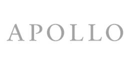 Gray “APOLLO” wordmark on a white background
