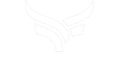 Faint outline of a stylized white logo on a light background.