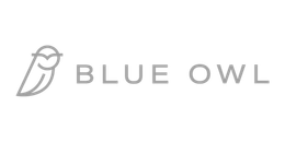 Blue Owl logo with a gray owl icon and the words “BLUE OWL” on a white background