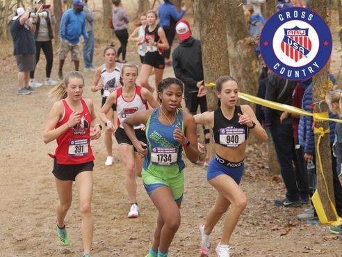 A group of girls are running a cross country race.