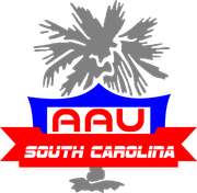 A logo for aau south carolina with a palm tree