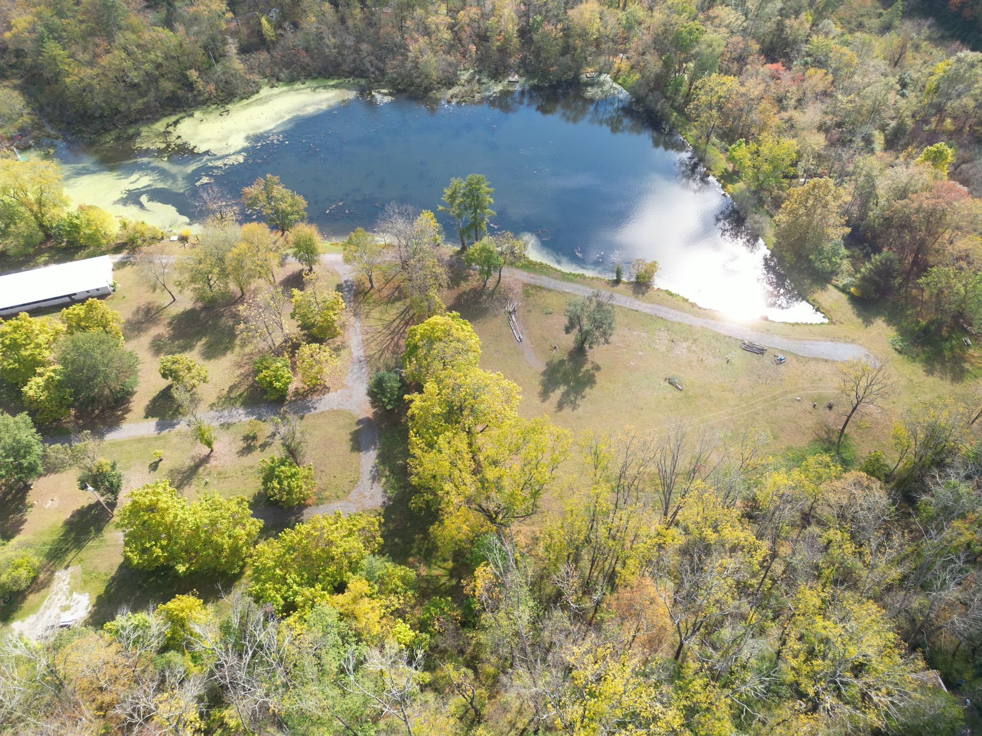 An aerial view of a lake surrounded by trees and grass