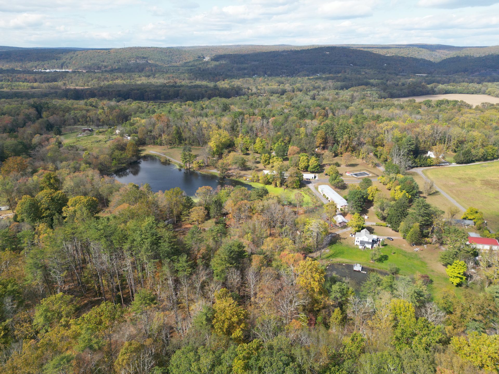 An aerial view of a lush green forest with a lake in the middle.