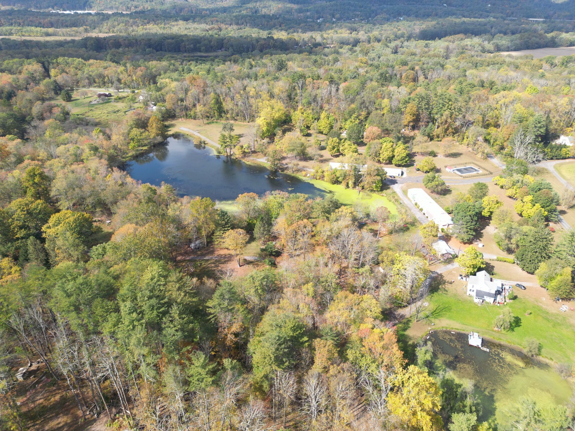 An aerial view of a lake in the middle of a forest surrounded by trees.
