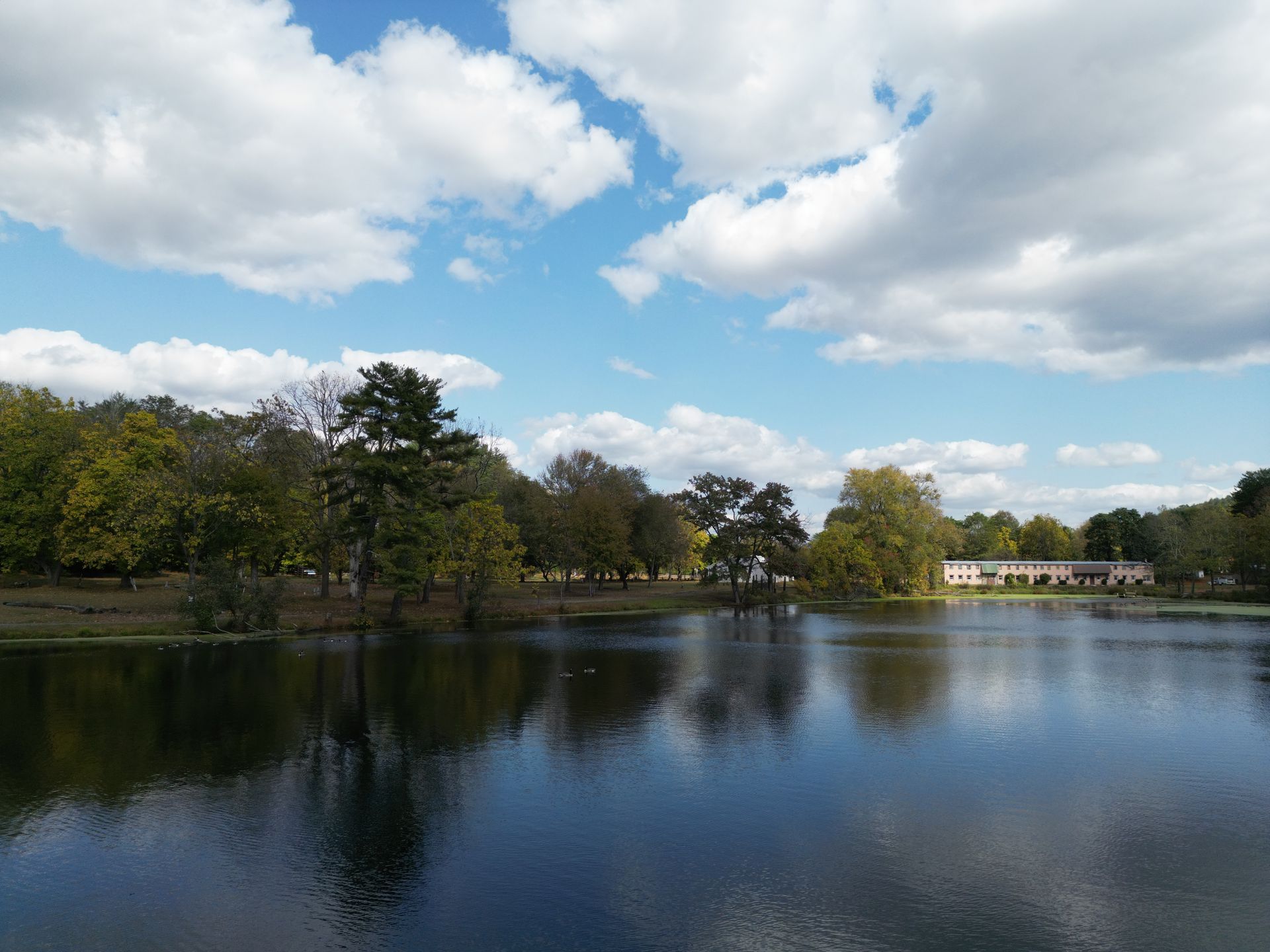 A large body of water surrounded by trees on a cloudy day