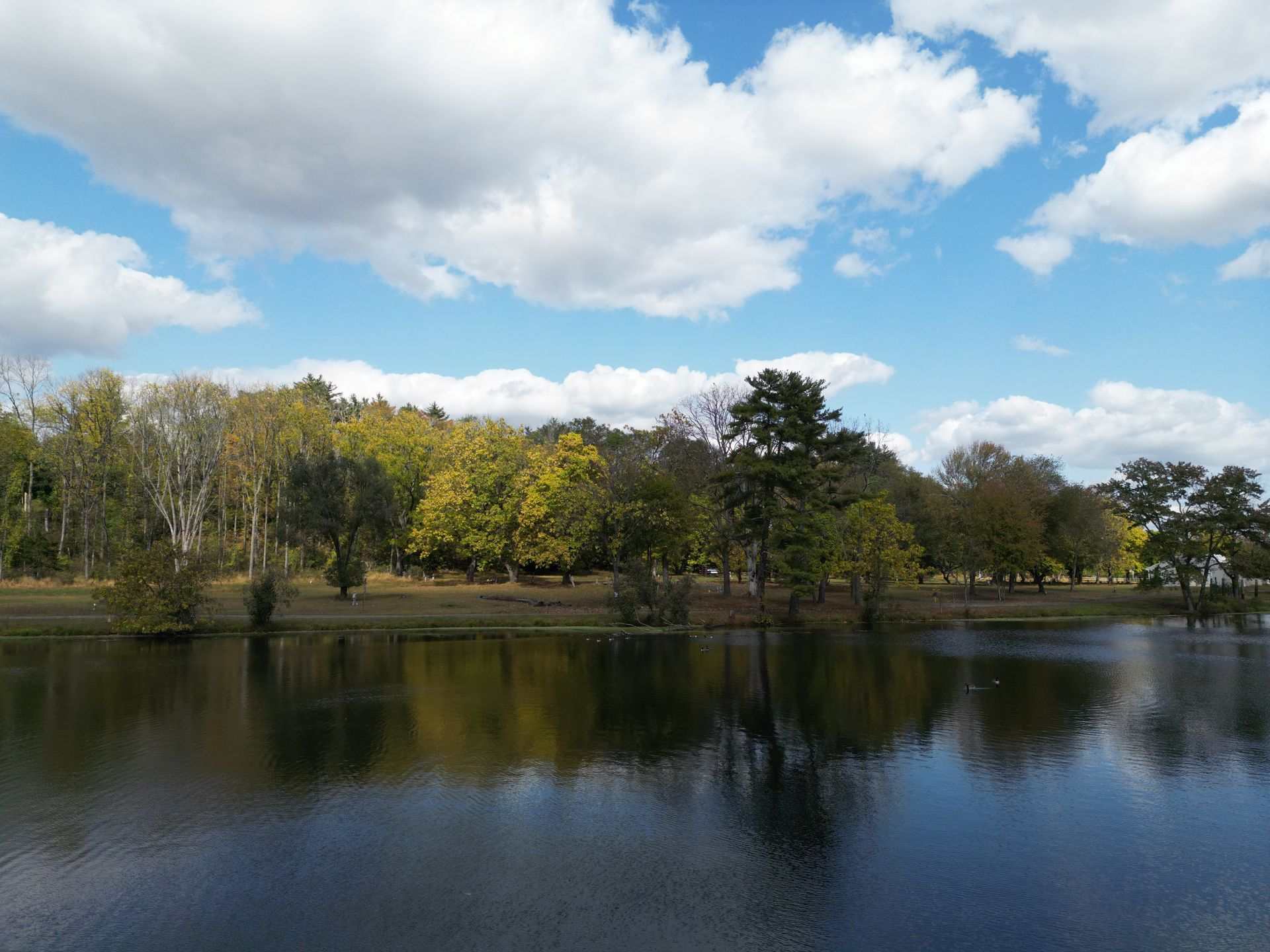 A lake surrounded by trees on a sunny day with clouds in the sky