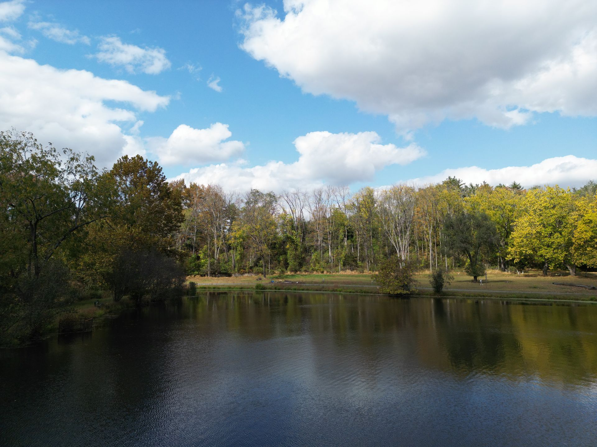 A large body of water surrounded by trees on a sunny day