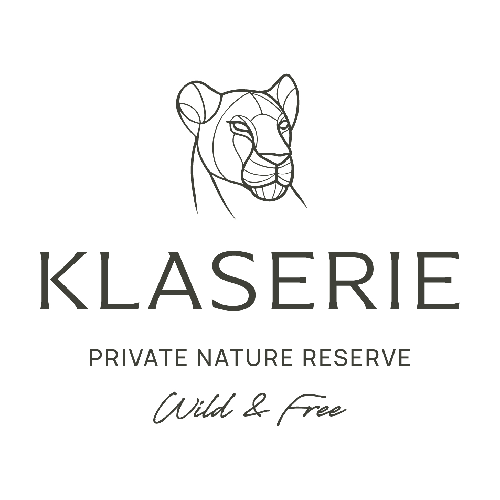 Klaserie Logo