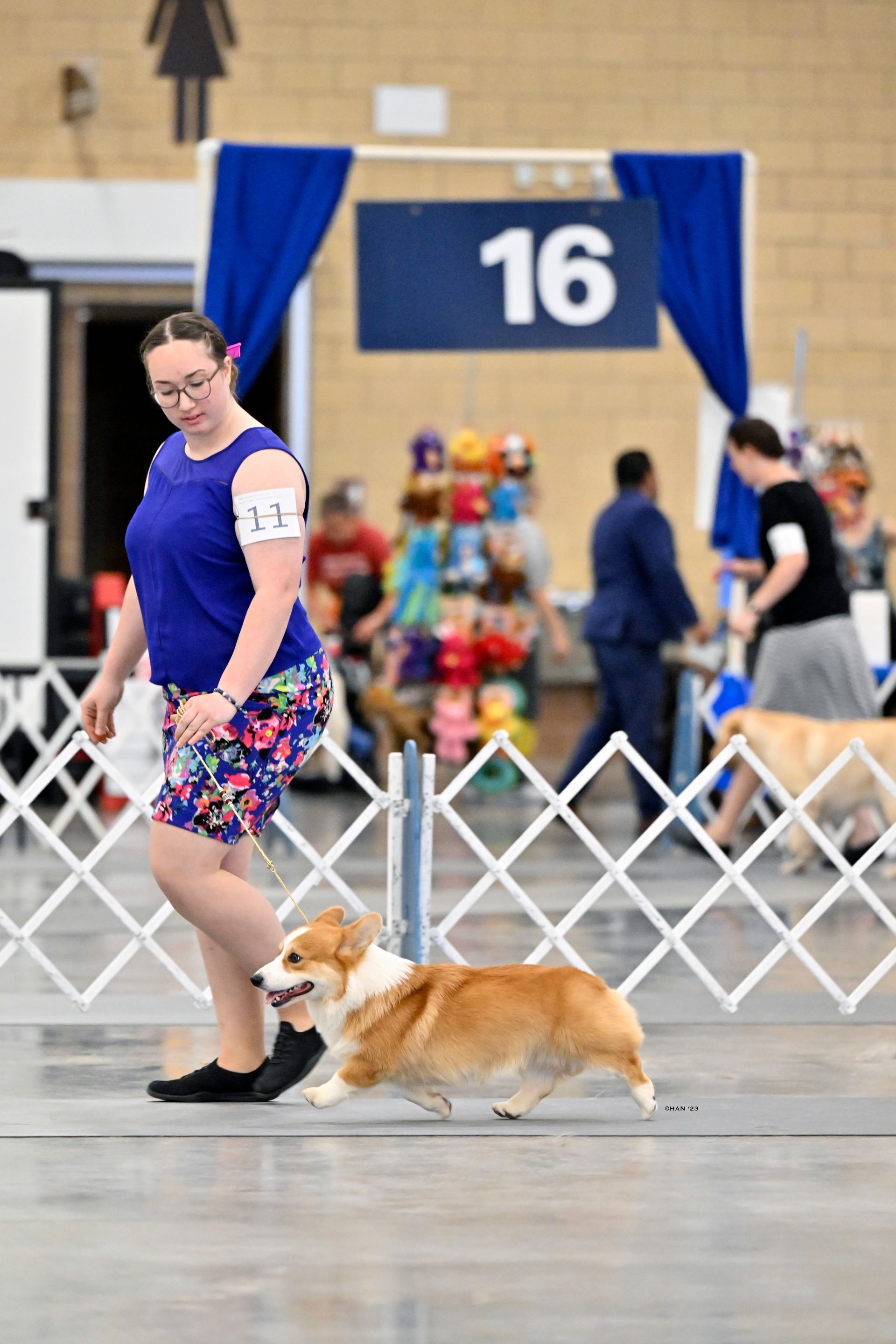 A woman is walking a dog through a fence at a dog show.