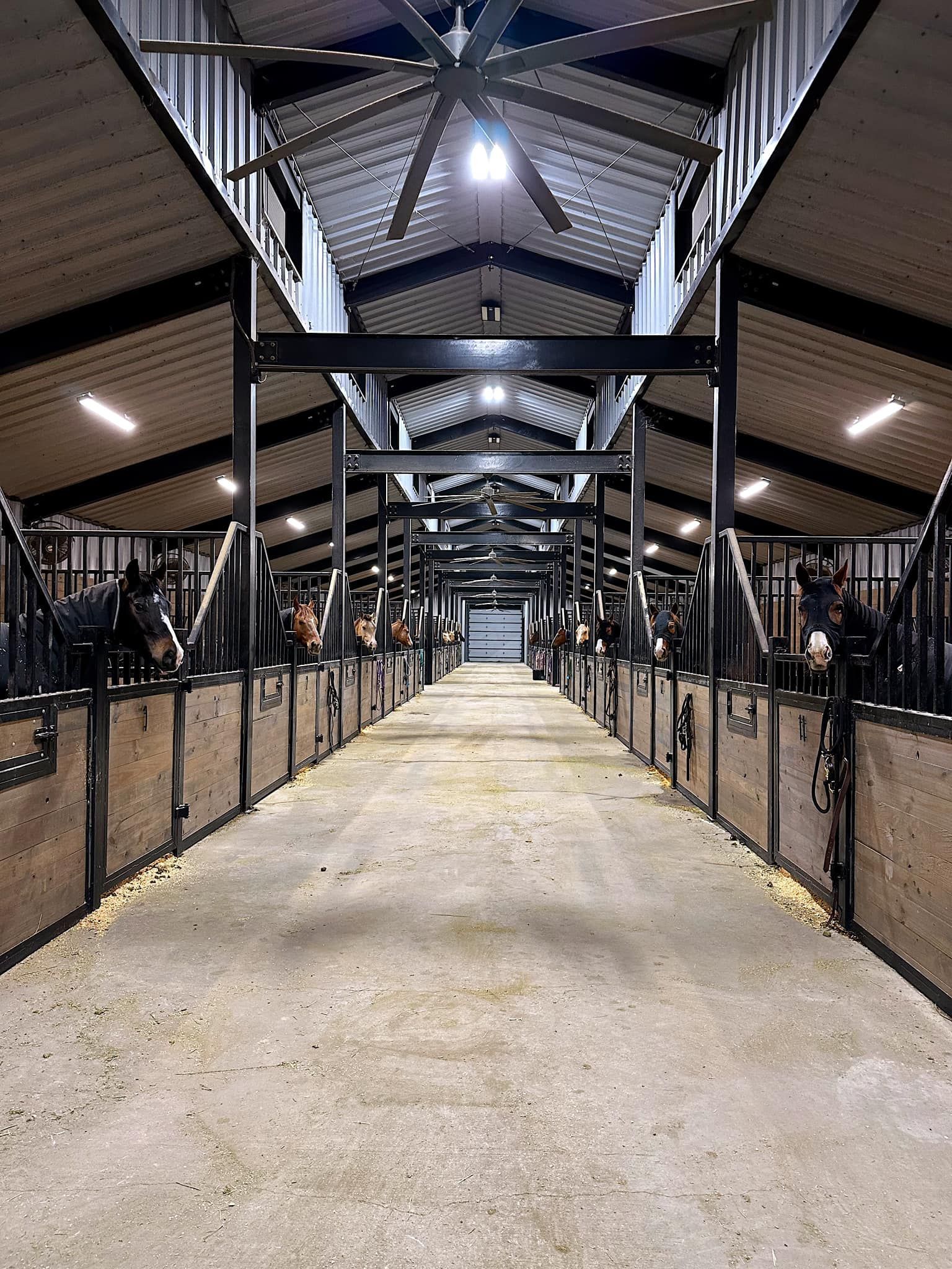 A large stable with a lot of horses in it and a ceiling fan.