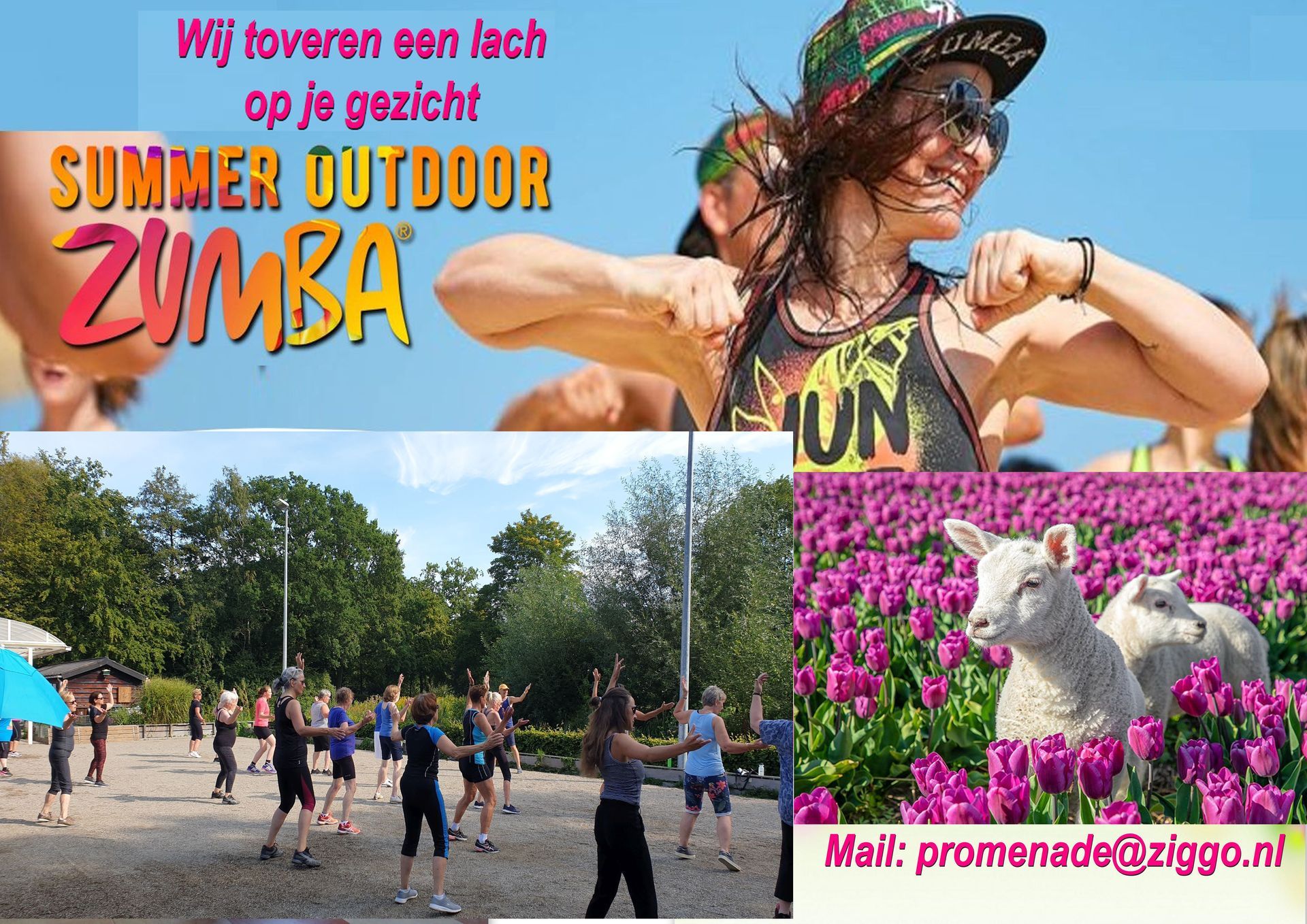 Logo van Zin Zumba Instructor Network in oranje en grijs.
