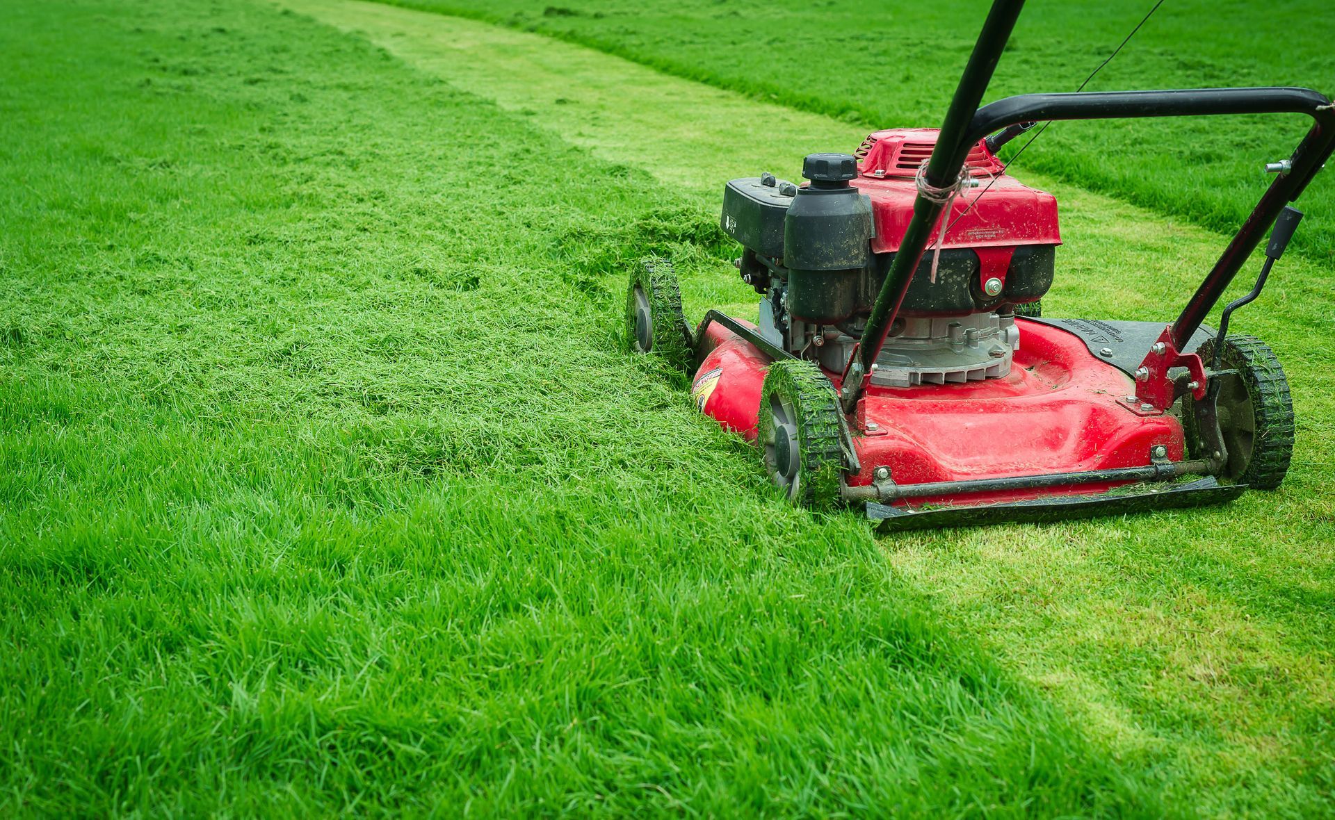 Grass Mower