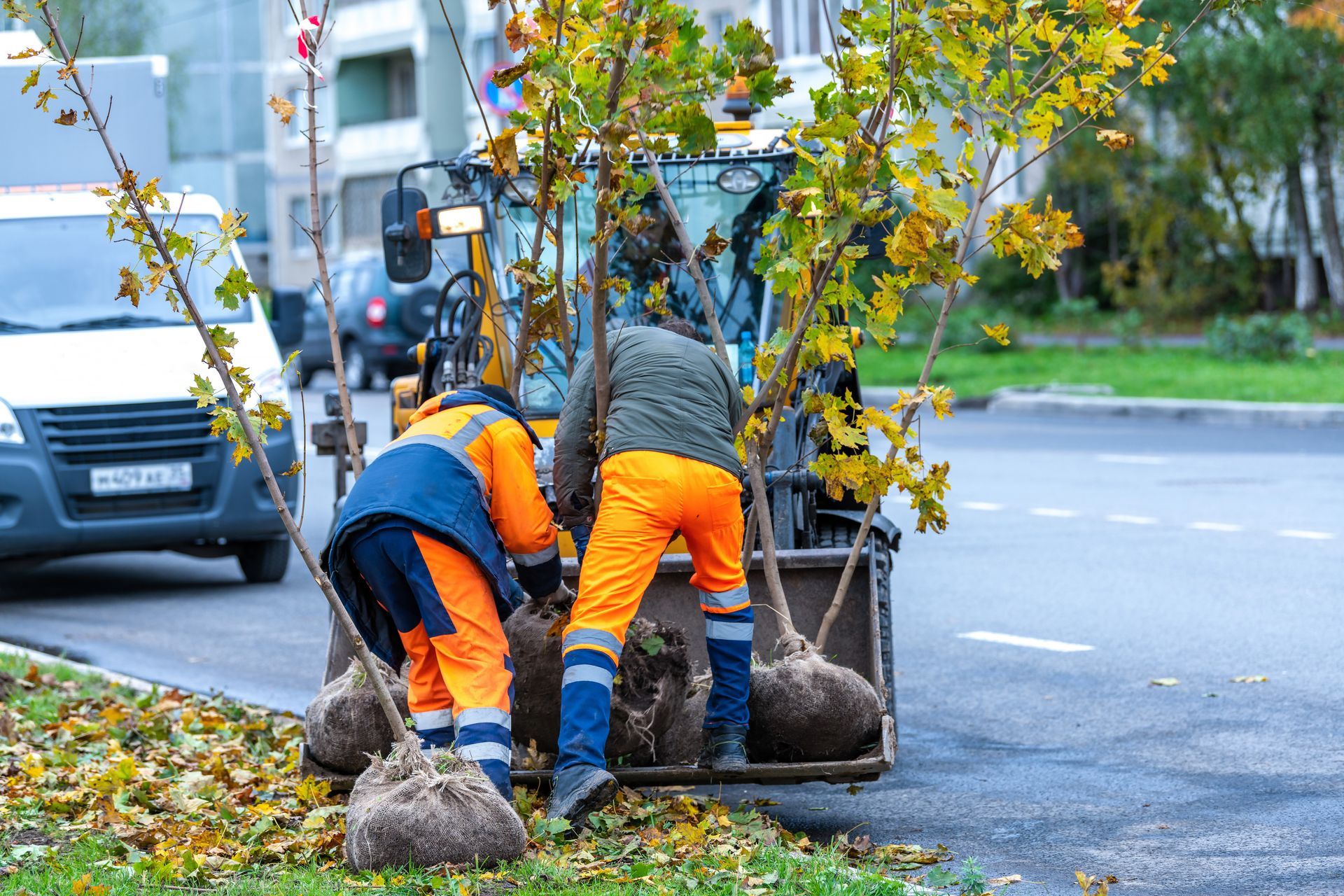 Residential and Commercial Tree Services