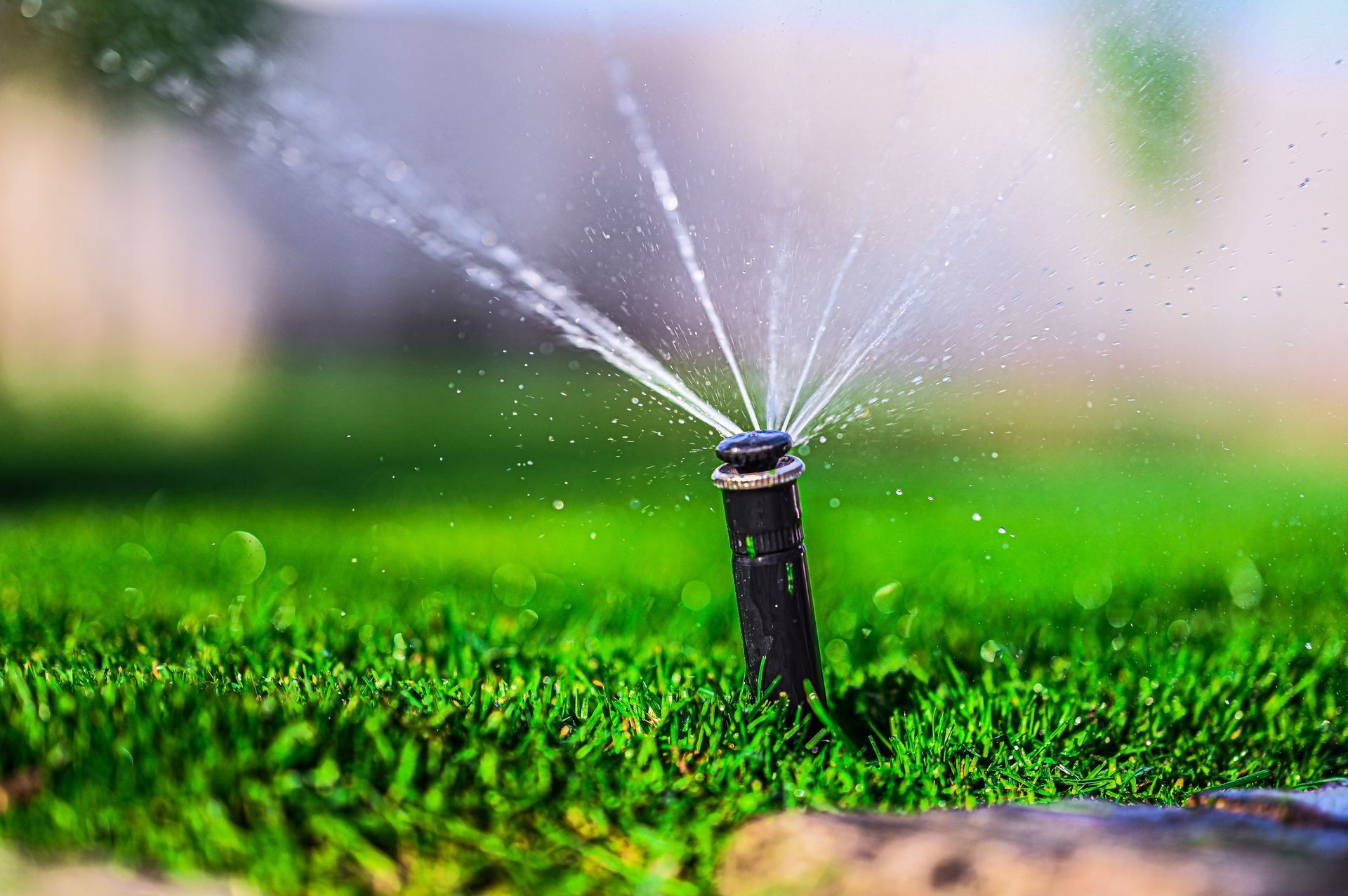Irrigation and Drip System Repairs