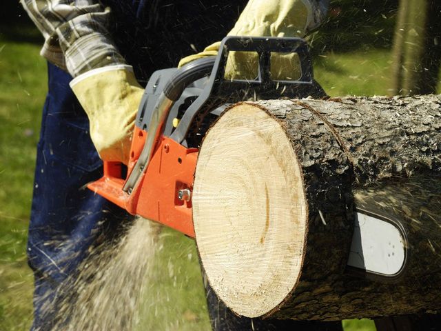 Worker cutting a log with a chainsaw, spraying sawdust in a wooded area