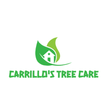 Logo for EverRoot Tree Service: A green tree silhouette above the company name in green and brown text.
