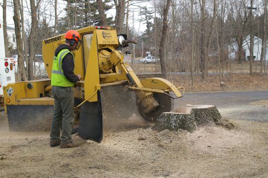 Worker uses a wood chipper to shred a stump beside a road in a wooded area.