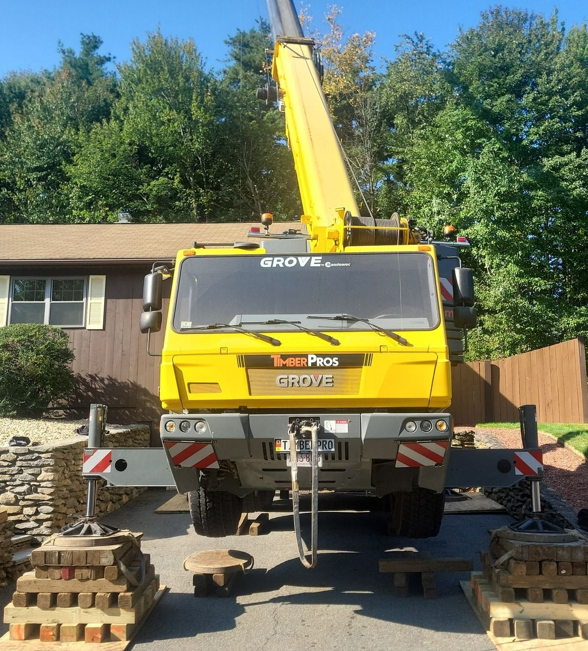 Hazardous tree removal near me 