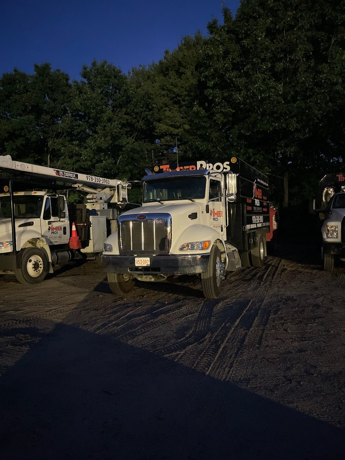 tree removal - tree pruning - crane services - lot clearing - hazardous tree removal  - timber pros - near me - Central MA