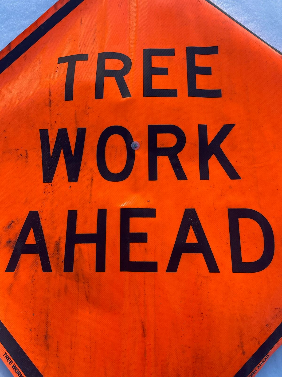tree removal - tree pruning - crane services - lot clearing - hazardous tree removal  - timber pros - near me - Central MA