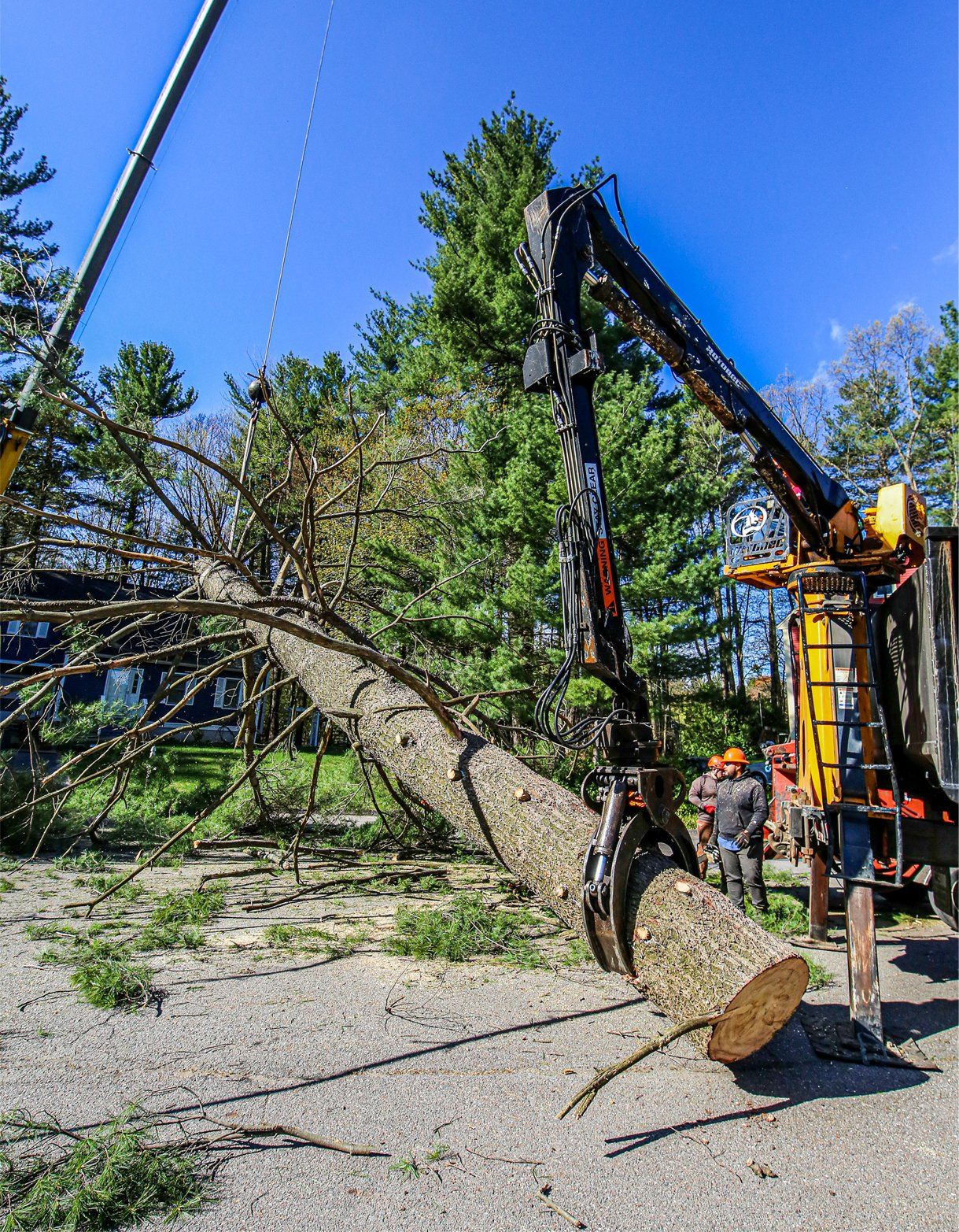 tree removal - tree pruning - crane services - lot clearing - stump grinding - timber pros  - Central MA