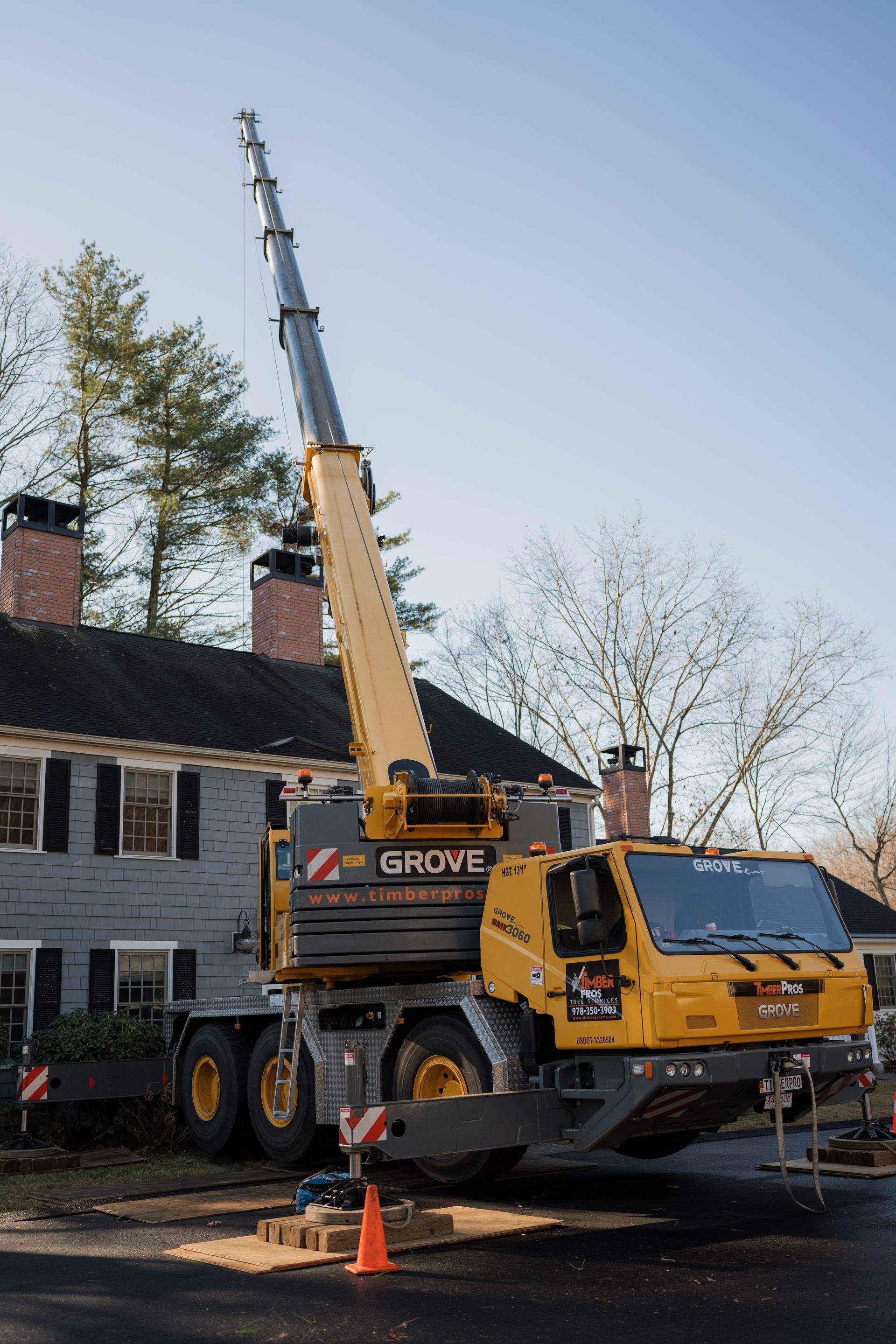 tree removal - tree pruning - crane services - lot clearing - hazardous tree removal  - timber pros - near me