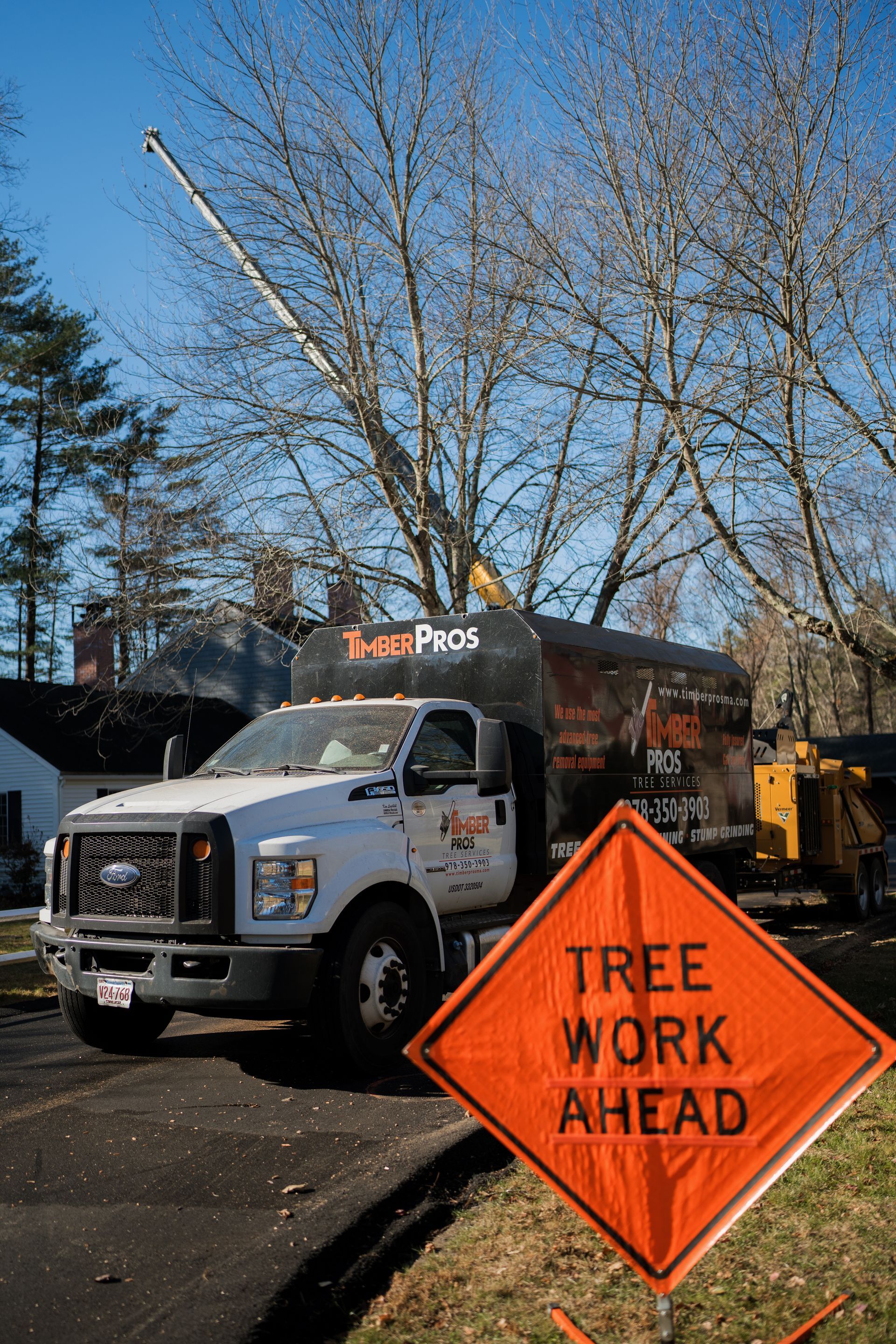 tree removal - tree pruning - crane services - lot clearing - hazardous tree removal  - timber pros - near me