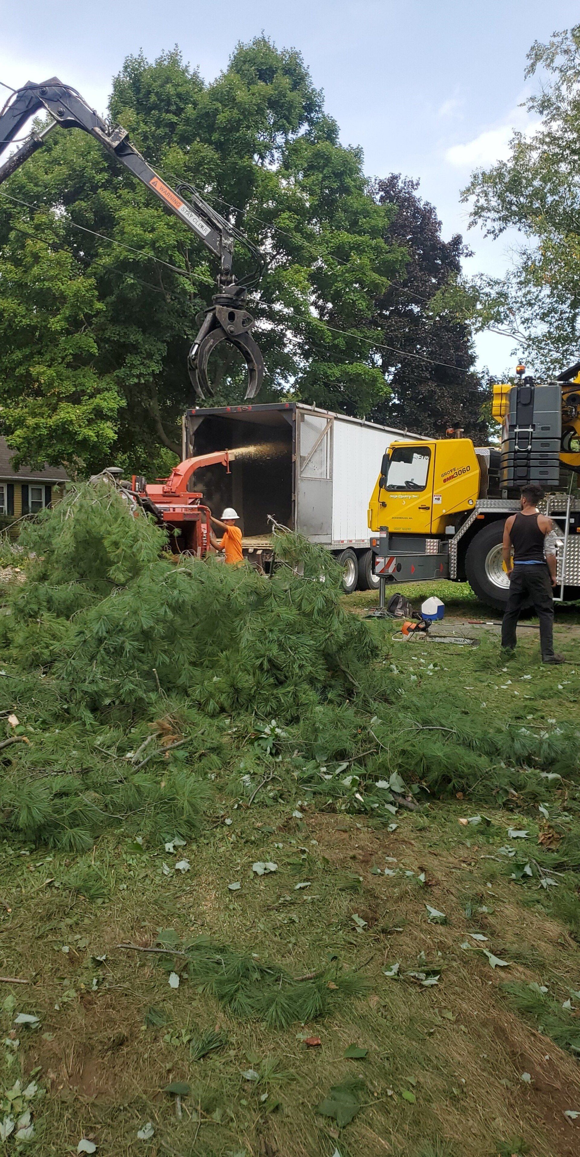 tree removal - tree pruning - crane services - lot clearing - stump grinding - timber pros  - Central MA