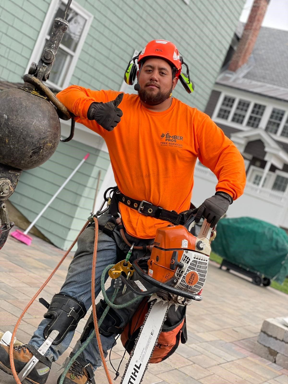 tree removal - tree pruning - crane services - lot clearing - hazardous tree removal  - timber pros - near me - Central MA