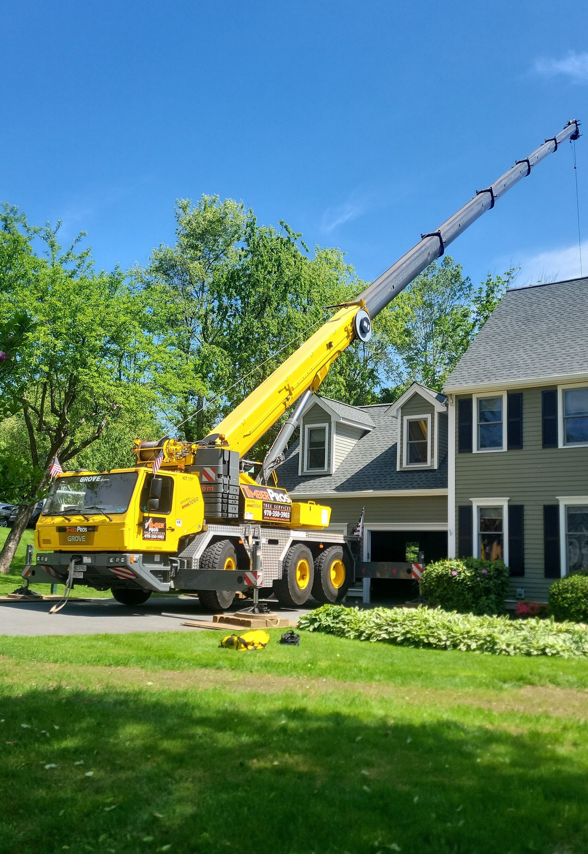 Hazardous tree removal near me 