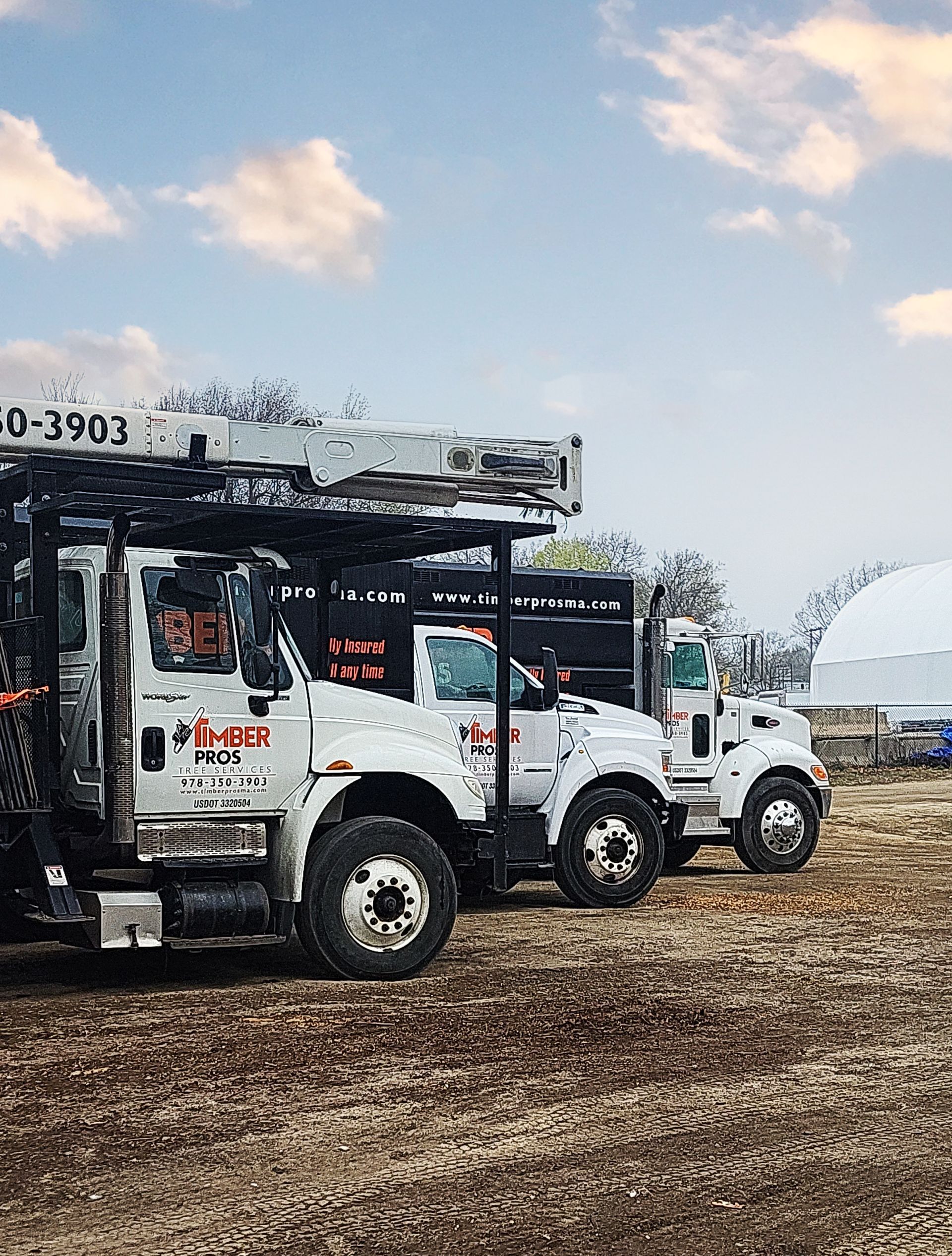 tree removal - tree pruning - crane services - lot clearing - hazardous tree removal  - timber pros - near me - Central MA