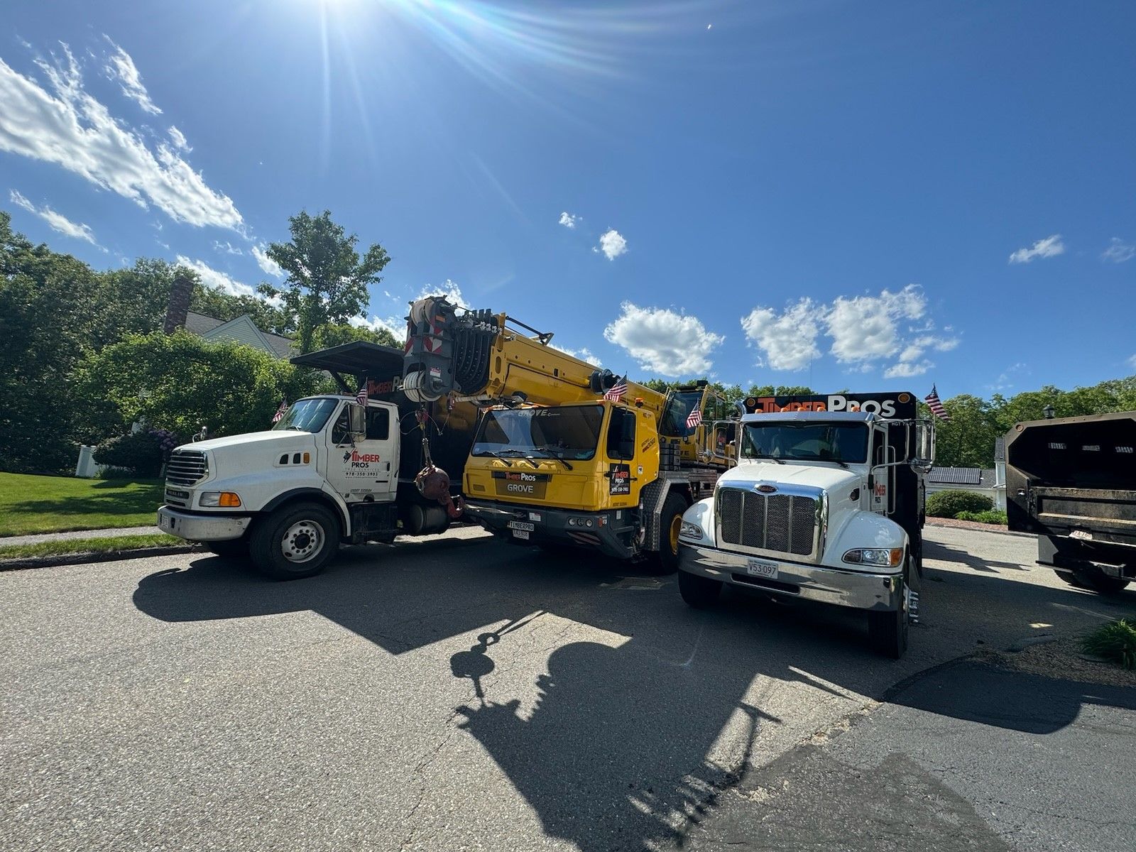 tree removal - tree pruning - crane services - lot clearing - hazardous tree removal  - timber pros - near me