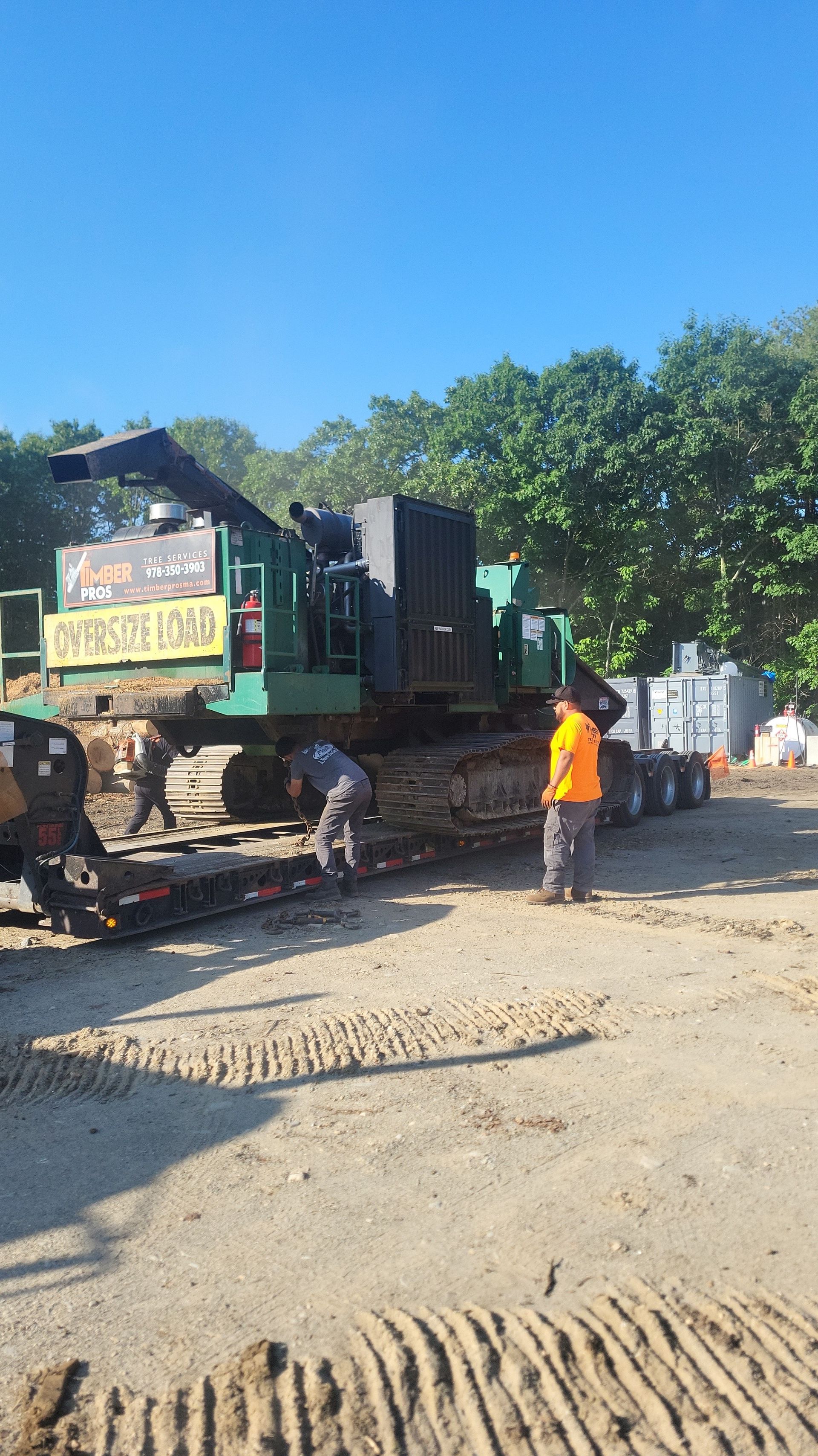 tree removal - tree pruning - crane services - lot clearing - hazardous tree removal  - timber pros - near me