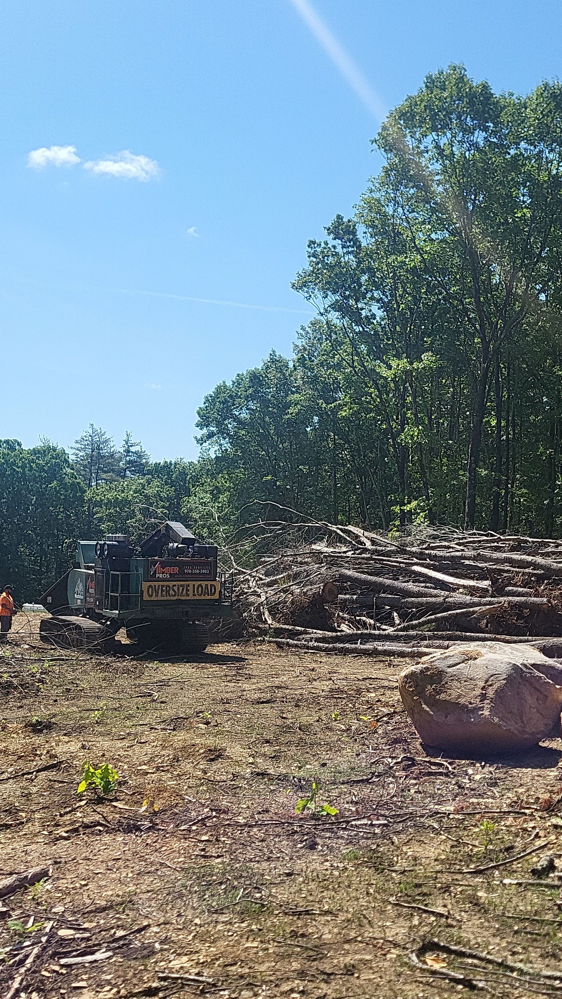 tree removal - tree pruning - crane services - lot clearing - hazardous tree removal  - timber pros - near me - Central MA