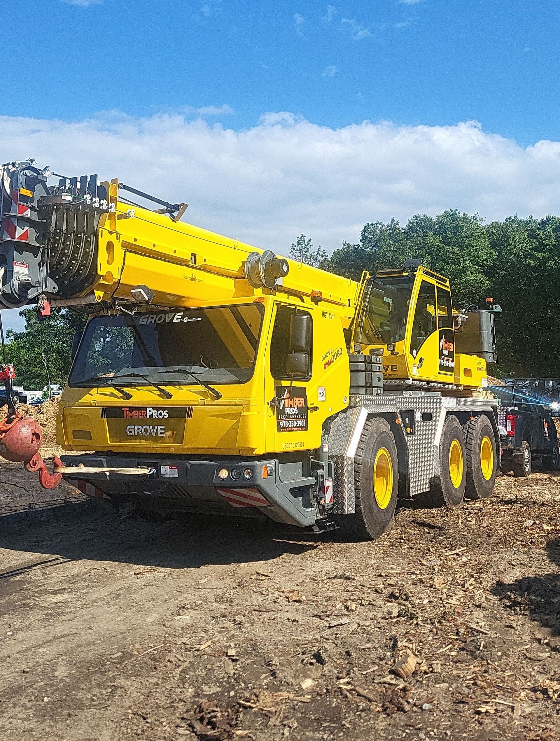 crane service near me - tree removal