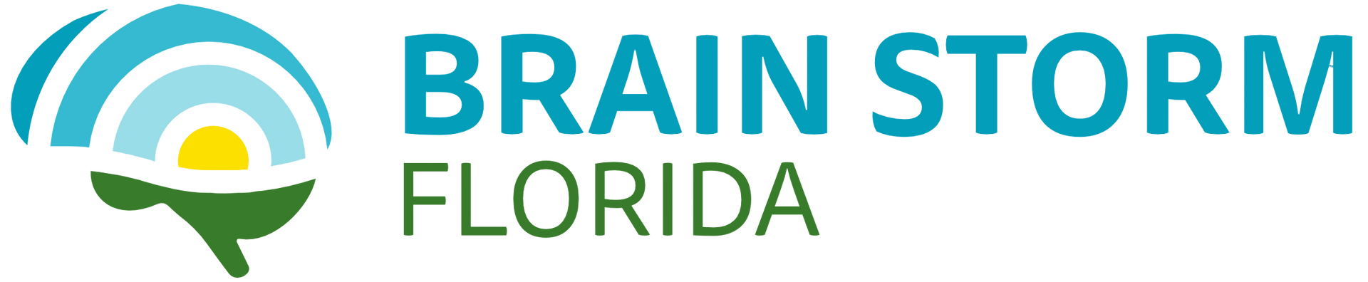 Logo for Brain Storm Florida: brain graphic with sun and sky, text 