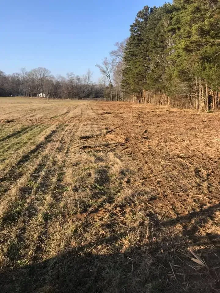 A field split between tall, dried grass and a freshly cleared, tilled brown earth section beside a line of tall trees.
