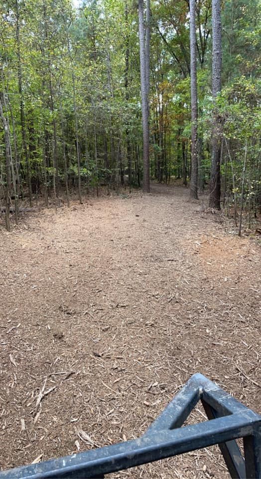 A dirt path leads into a dense forest of pine trees, viewed from behind a dark metal railing in the foreground.
