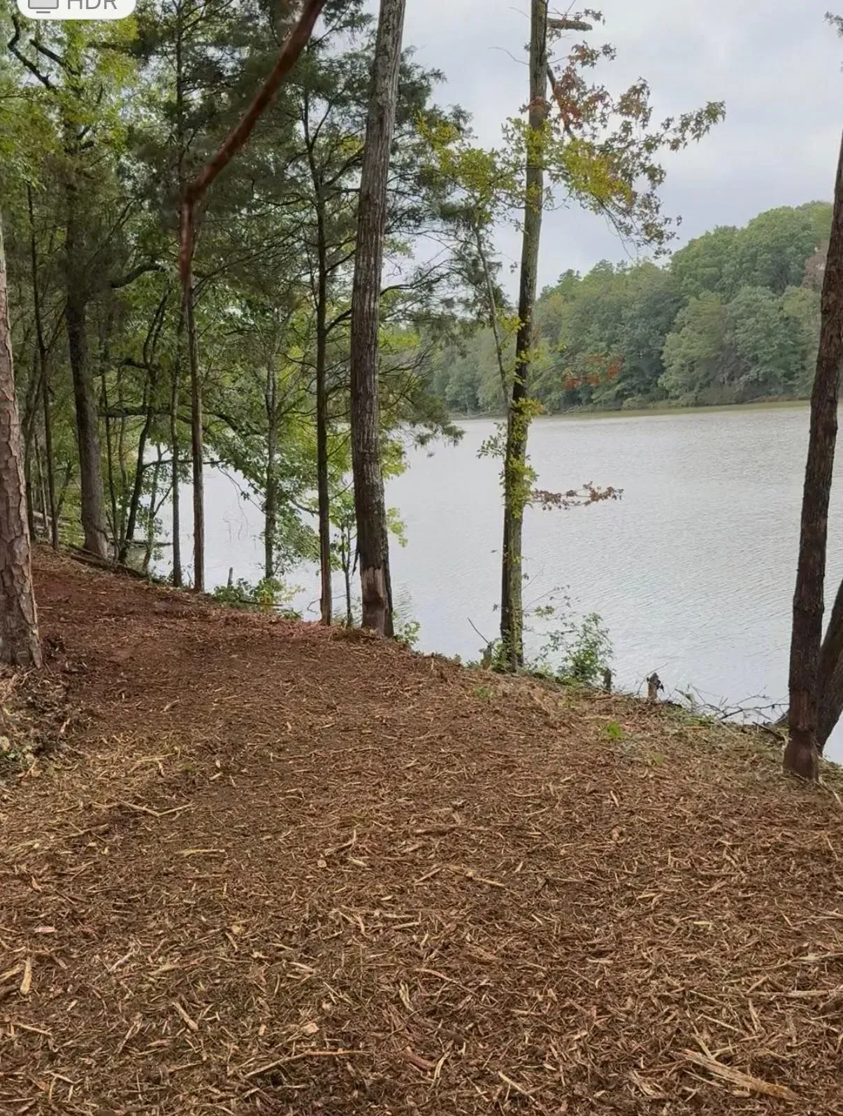 A clearing covered in wood mulch looks out over a calm, gray lake surrounded by a dense forest under a cloudy sky.