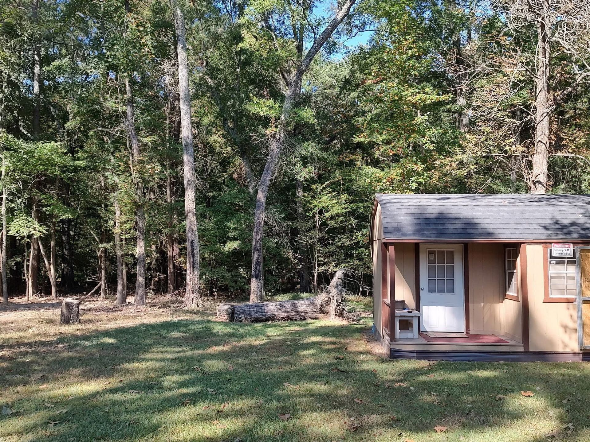 A small, tan-colored shed with a white door and a gray roof sits at the edge of a dense forest on a sunny day.