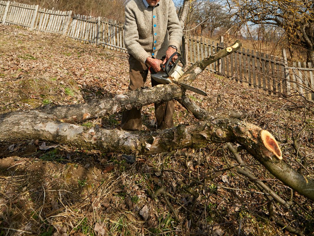A wooden fence is sitting on top of a lush green field.