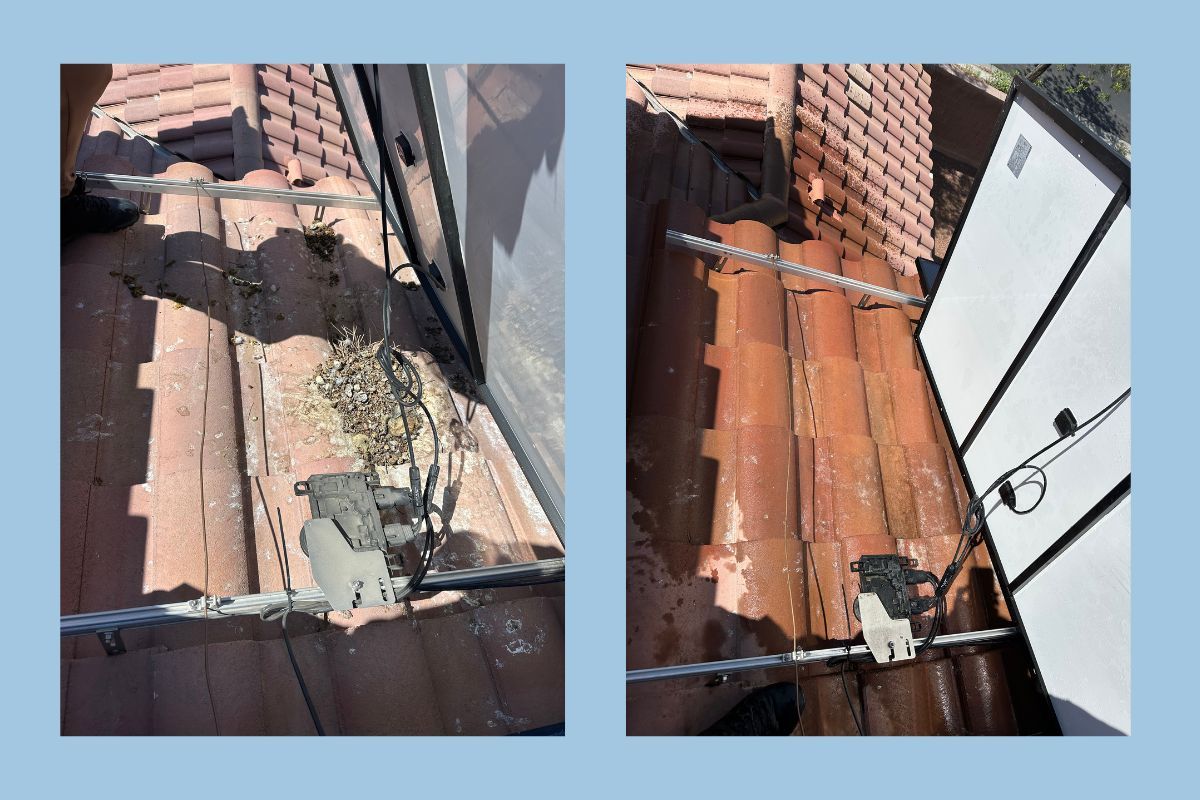 before and after pigeon nest removal service