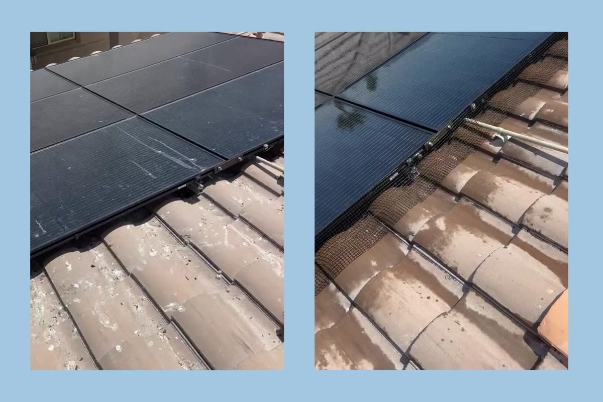 before and after professional solar panel cleaning service