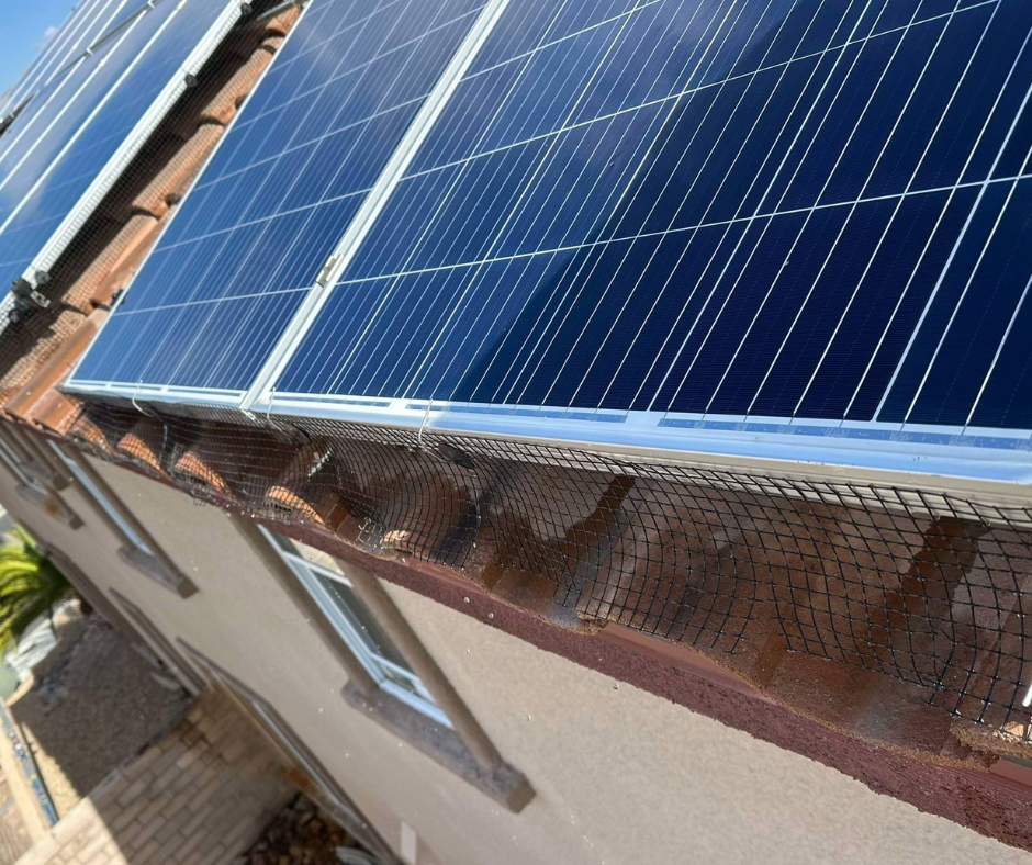 las vegas rinse your solar with water before clean