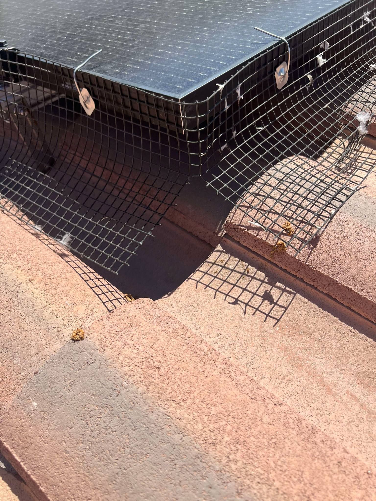 custom cut bird netting for solar panels