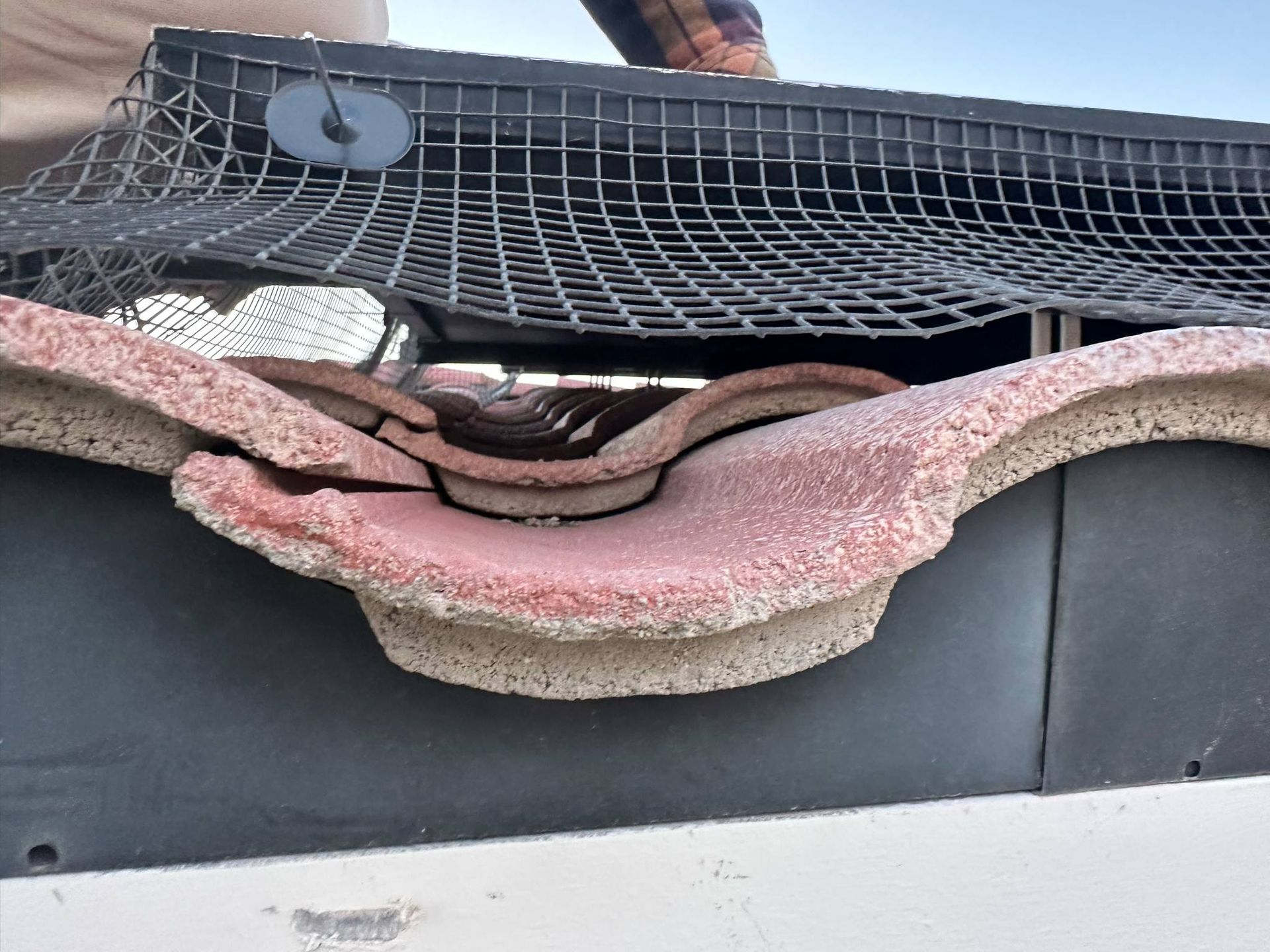 custom cut bird netting